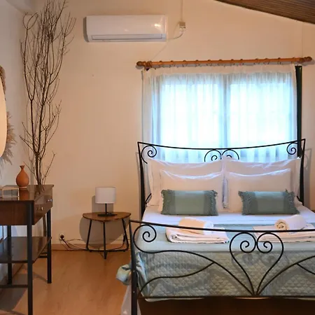 Eva's Ájoi Theódori