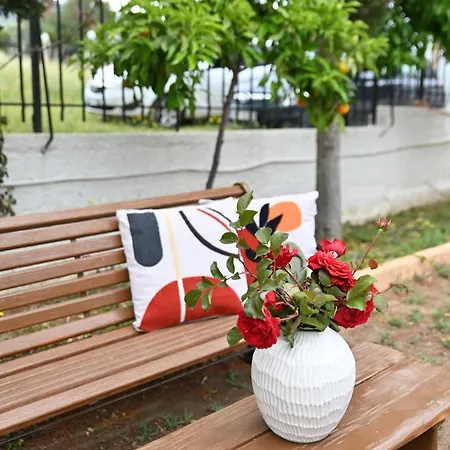 Eva's Ájoi Theódori